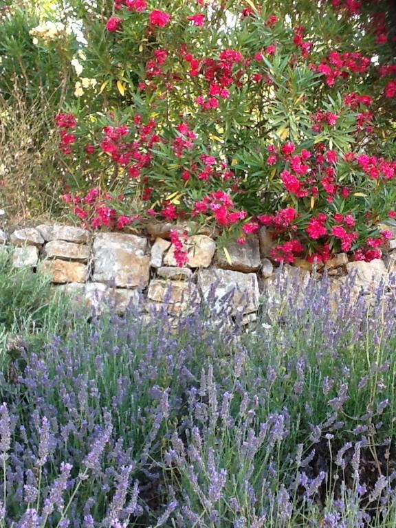 L'Oustaou B&B Piscine & Spa Besse-sur-Issole Экстерьер фото